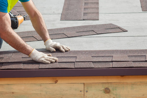 Best Gutter Installation and Repair  in Columbus Grove, OH
